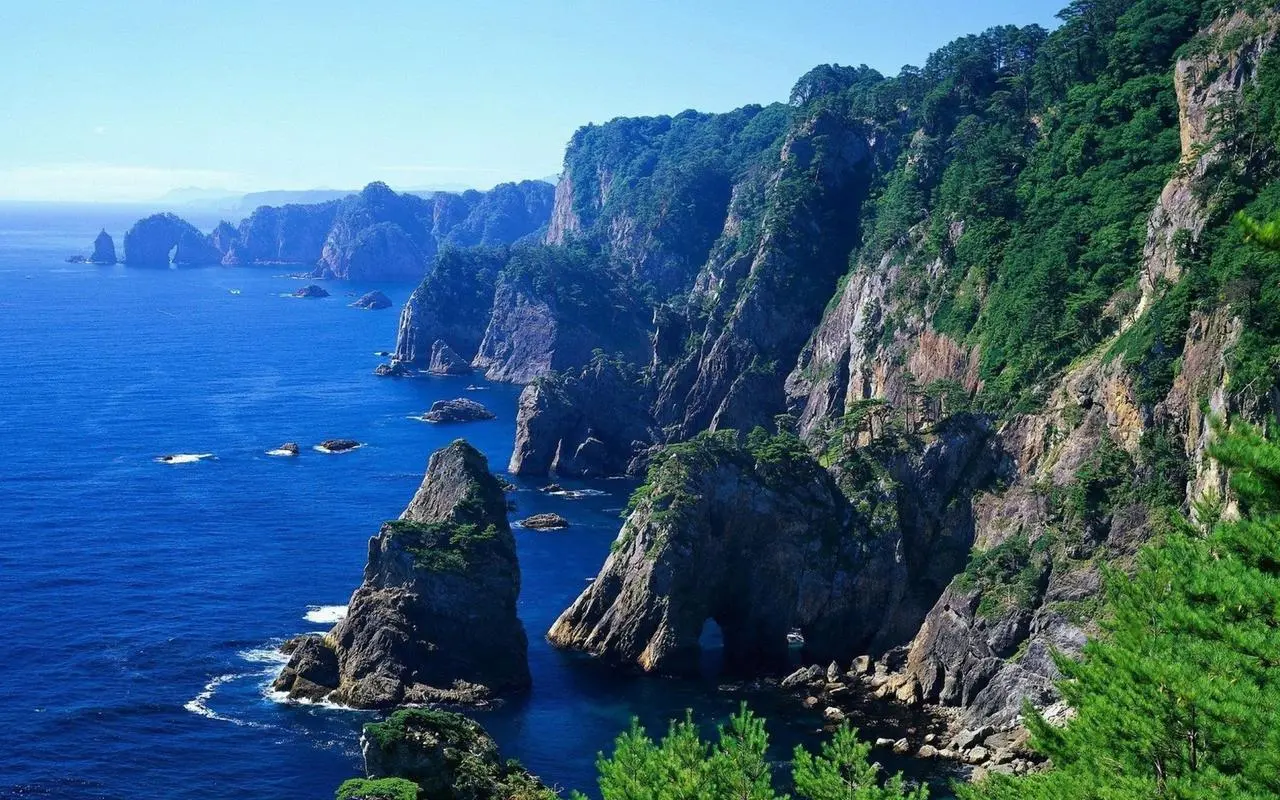 全自动高效